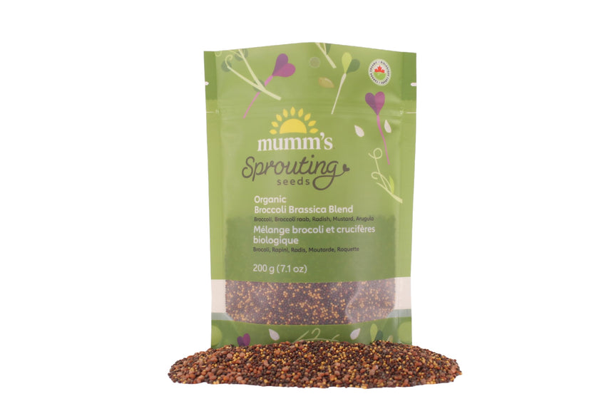 Mumm's Sprouting Seeds - Broccoli Brassica Blend (100g)