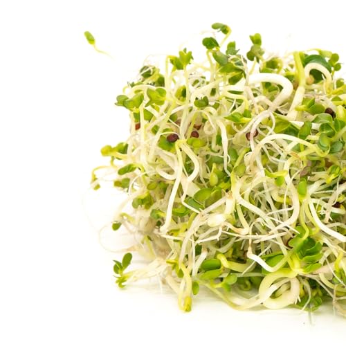 Mumm's Sprouting Seeds - Broccoli Brassica Blend (100g)