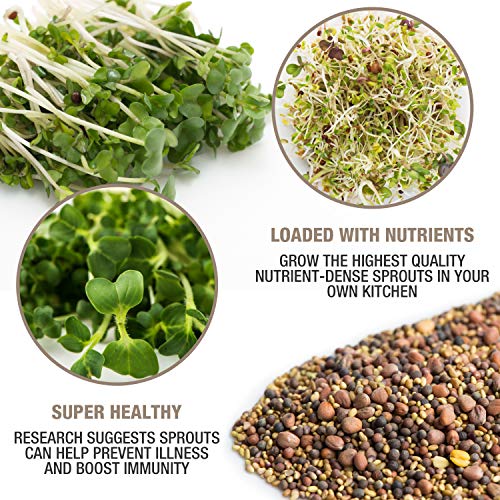 Mumm's Sprouting Seeds - Spring Salad Mix (100g)