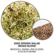 Mumm's Sprouting Seeds - Spring Salad Mix (100g)