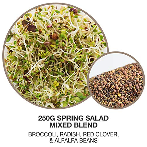 Mumm's Sprouting Seeds - Spring Salad Mix (100g)