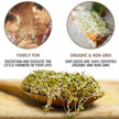 Mumm's Sprouting Seeds - Spring Salad Mix (100g)