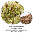 Mumm's Sprouting Seeds - Spring Salad Mix (100g)