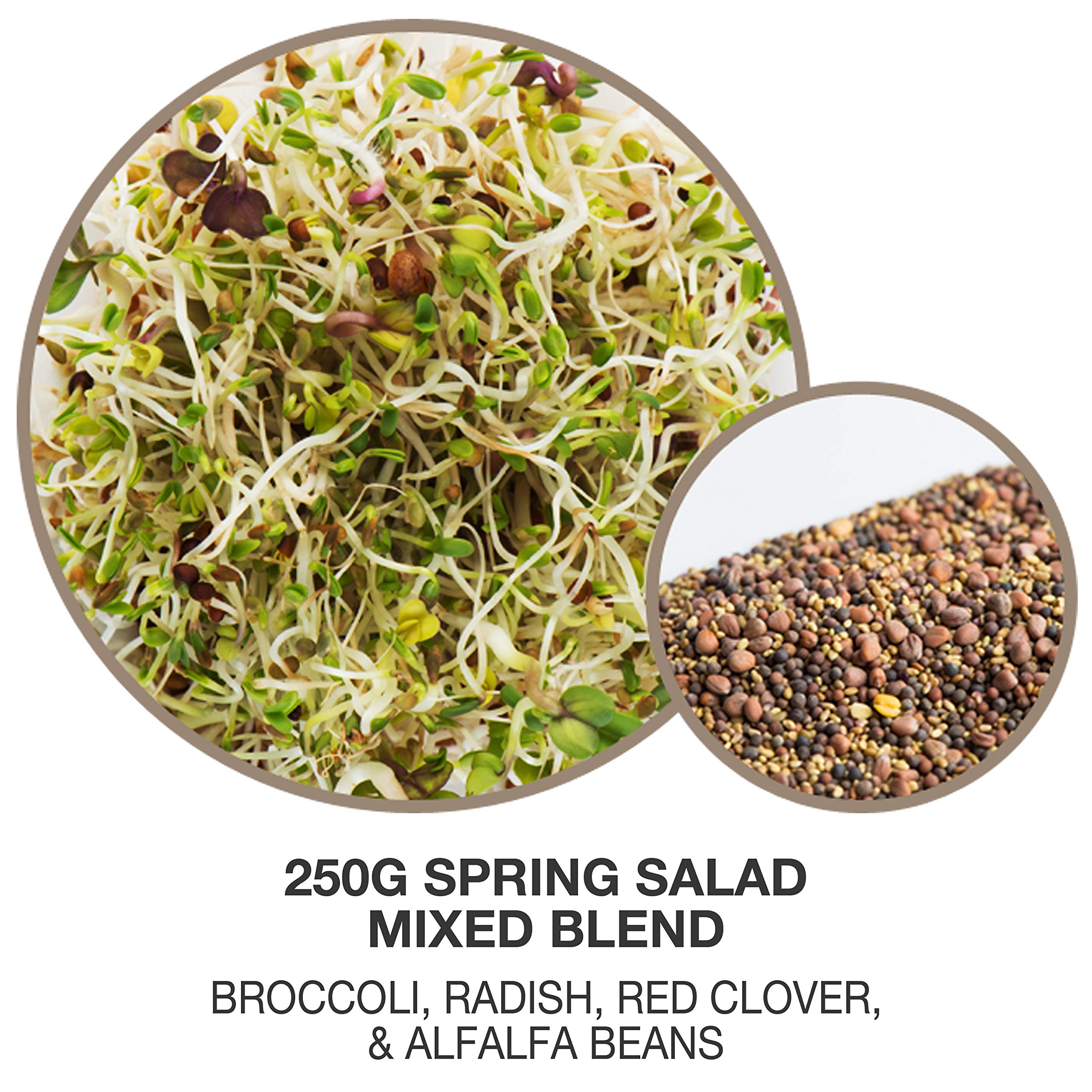 Mumm's Sprouting Seeds - Spring Salad Mix (100g)
