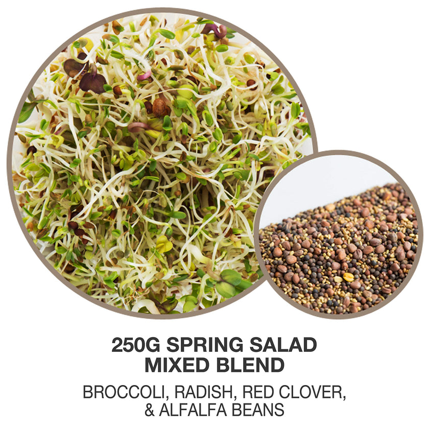 Mumm's Sprouting Seeds - Spring Salad Mix (100g)