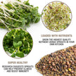 Mumm's Sprouting Seeds - Spring Salad Mix (100g)