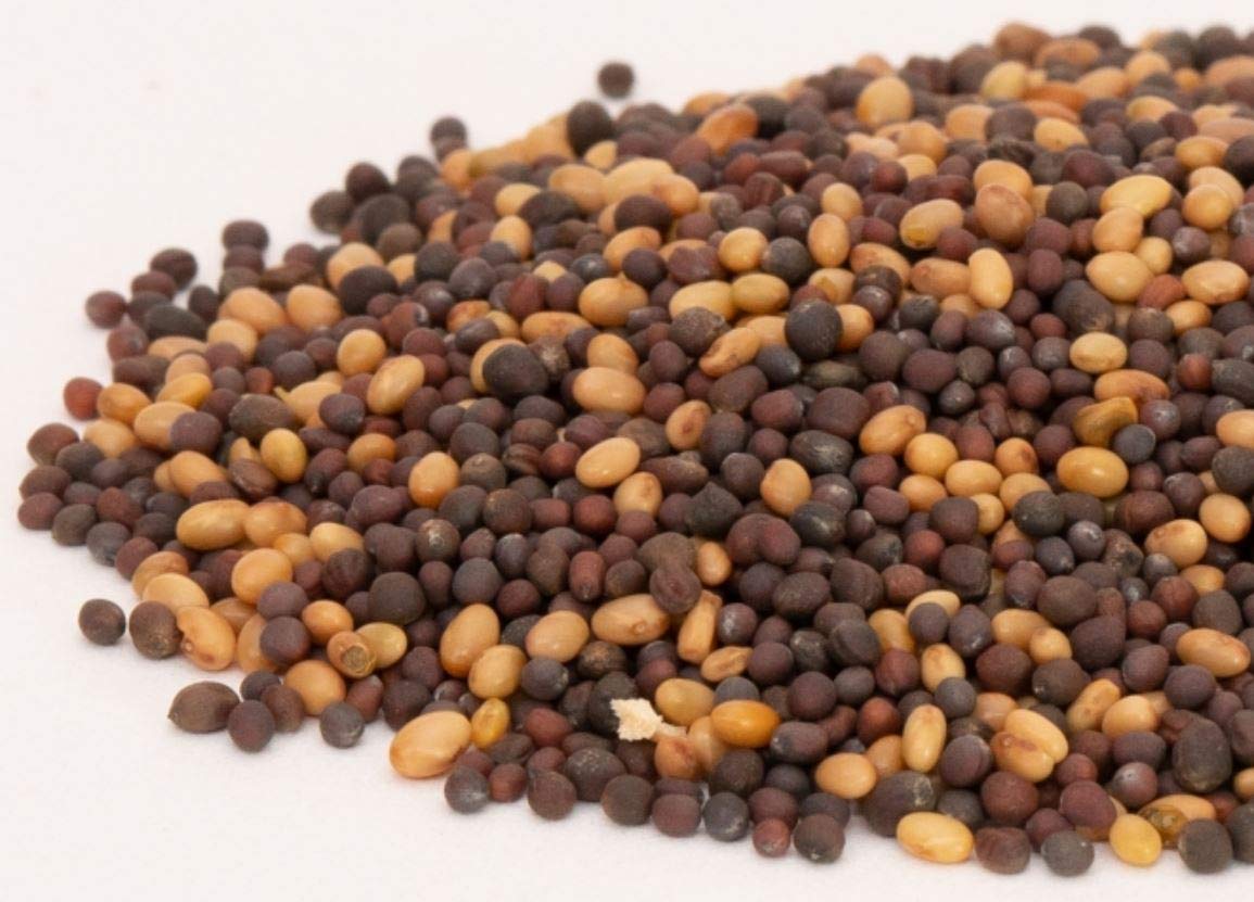 Mumm's Sprouting Seeds - Mellow Microgreen Mix (100g)