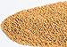 Mumm's Sprouting Seeds - Oriental Wasabi Mustard (100g)