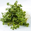 Mumm's Sprouting Seeds - Oriental Wasabi Mustard (100g)
