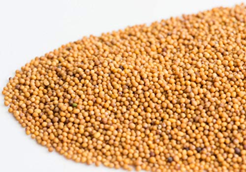 Mumm's Sprouting Seeds - Oriental Wasabi Mustard (100g)