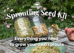 Mumm's Sprouting Seeds - Sprouting Seed Kit (1kit)