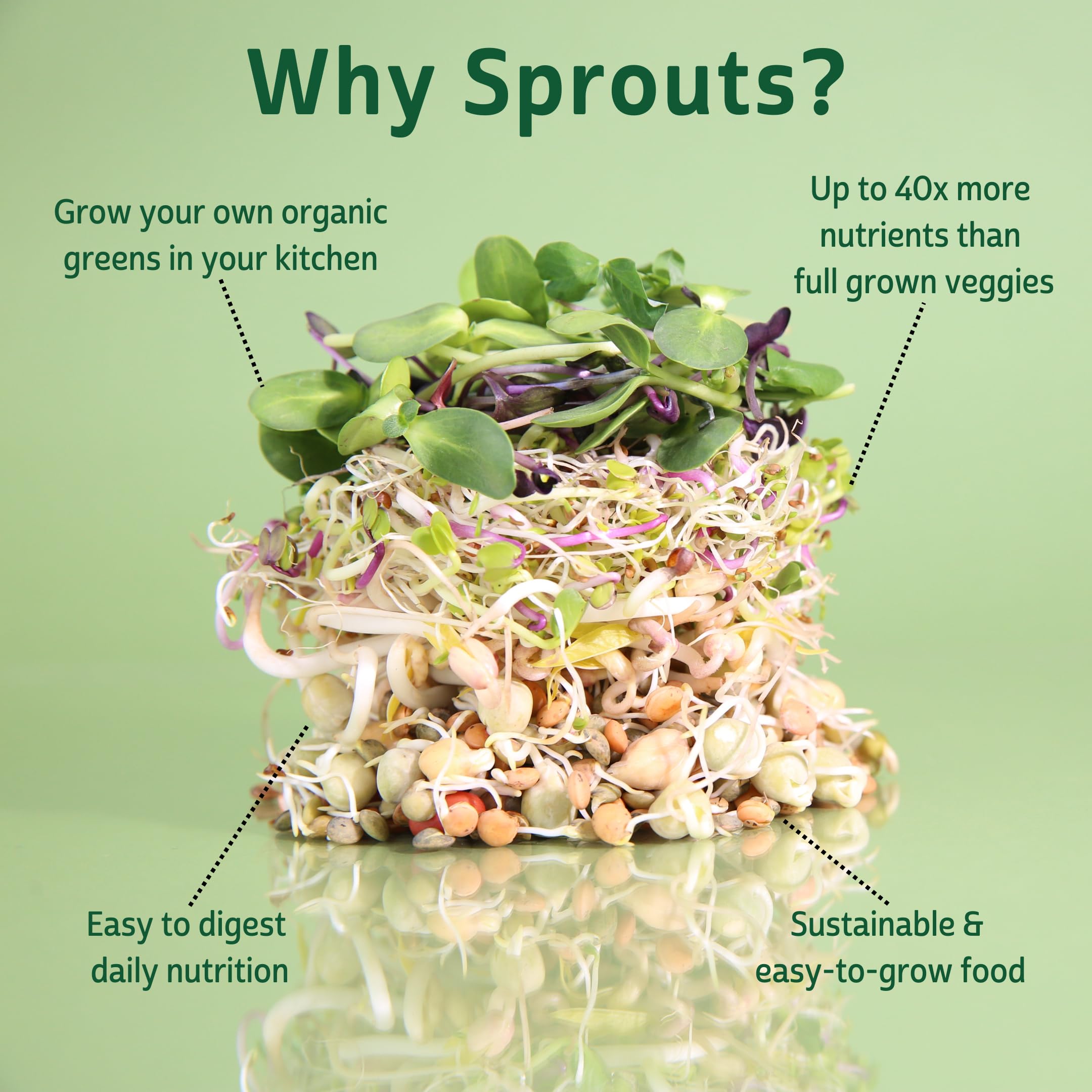 Mumm's Sprouting Seeds - Sprouting Seed Kit (1kit)