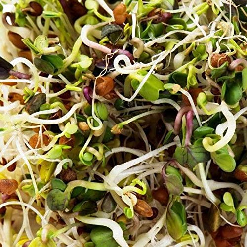 Mumm's Sprouting Seeds - Spicy Lentil Crunch (125g)