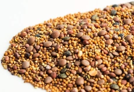 Mumm's Sprouting Seeds - Spicy Lentil Crunch (125g)
