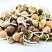 Mumm's Sprouting Seeds - Crunchy Bean Mix (125g)