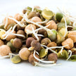 Mumm's Sprouting Seeds - Crunchy Bean Mix (125g)