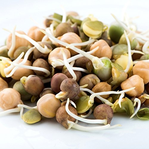 Mumm's Sprouting Seeds - Crunchy Bean Mix (125g)