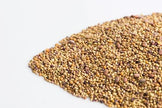 Mumm's Sprouting Seeds - Sandwich Booster (125g)