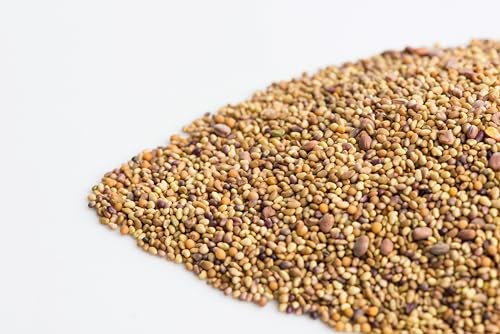 Mumm's Sprouting Seeds - Sandwich Booster (125g)