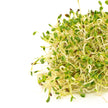 Mumm's Sprouting Seeds - Sandwich Booster (125g)