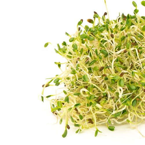 Mumm's Sprouting Seeds - Sandwich Booster (125g)