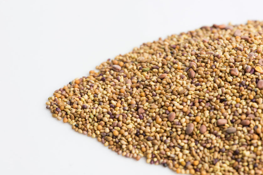 Mumm's Sprouting Seeds - Sandwich Booster (125g)