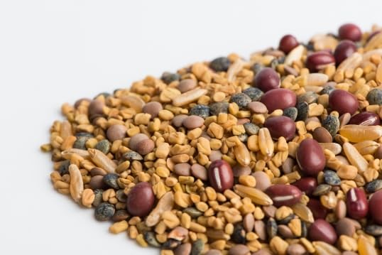 Mumm's Sprouting Seeds - Ancient Eastern Blend (125g)