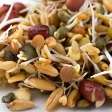 Mumm's Sprouting Seeds - Ancient Eastern Blend (125g)