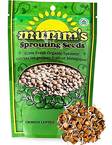 Mumm's Sprouting Seeds - Crimson Lentils (125g)
