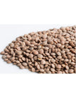 Mumm's Sprouting Seeds - Crimson Lentils (125g)