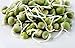 Mumm's Sprouting Seeds - Organic Green Peas (125g)