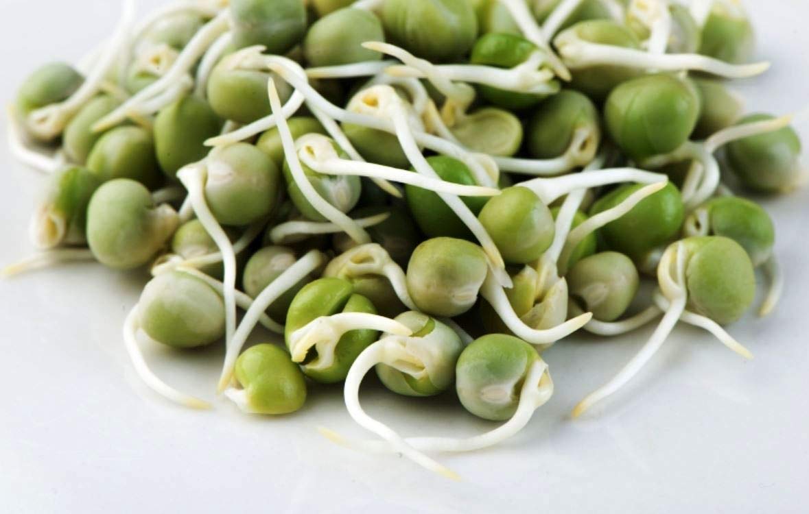 Mumm's Sprouting Seeds - Organic Green Peas (125g)