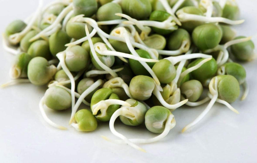 Mumm's Sprouting Seeds - Organic Green Peas (125g)