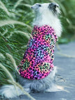 Urban Wild Dog Jacket | Medium to Large Breed Outerwear
