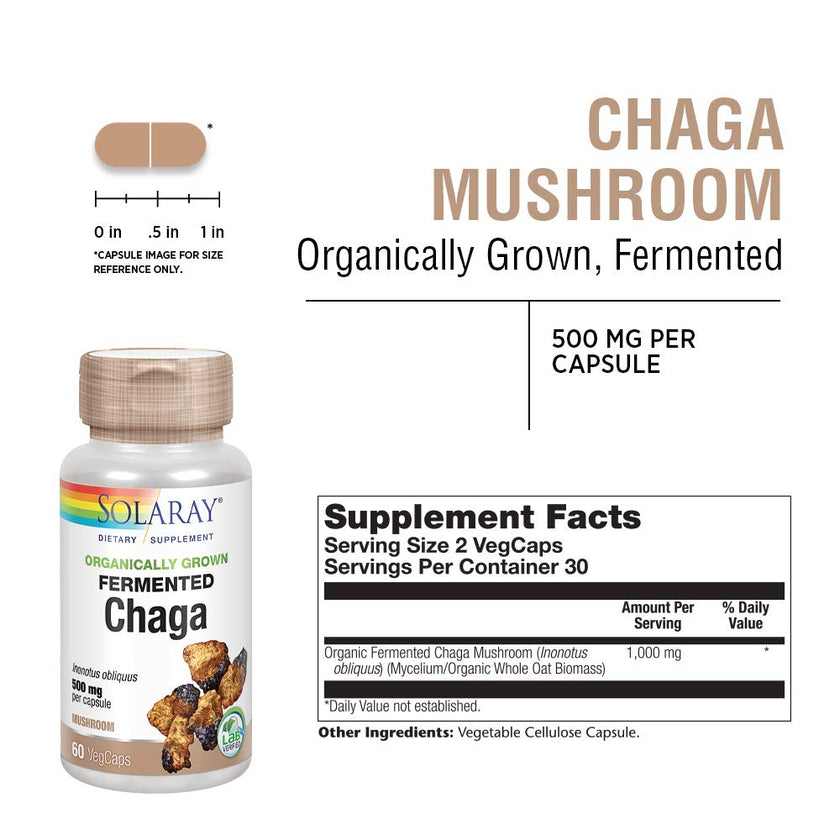 Solaray - Fermented Chaga Mushroom (60caps)