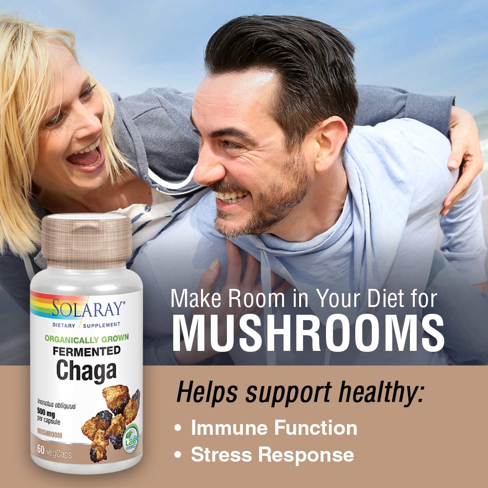 Solaray - Fermented Chaga Mushroom (60caps)