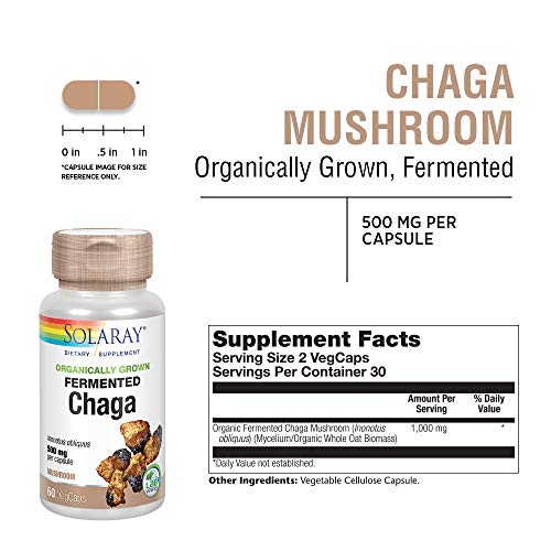 Solaray - Fermented Chaga Mushroom (60caps)