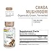 Solaray - Fermented Chaga Mushroom (60caps)