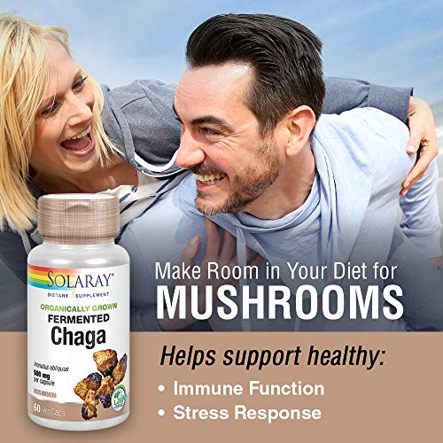 Solaray - Fermented Chaga Mushroom (60caps)