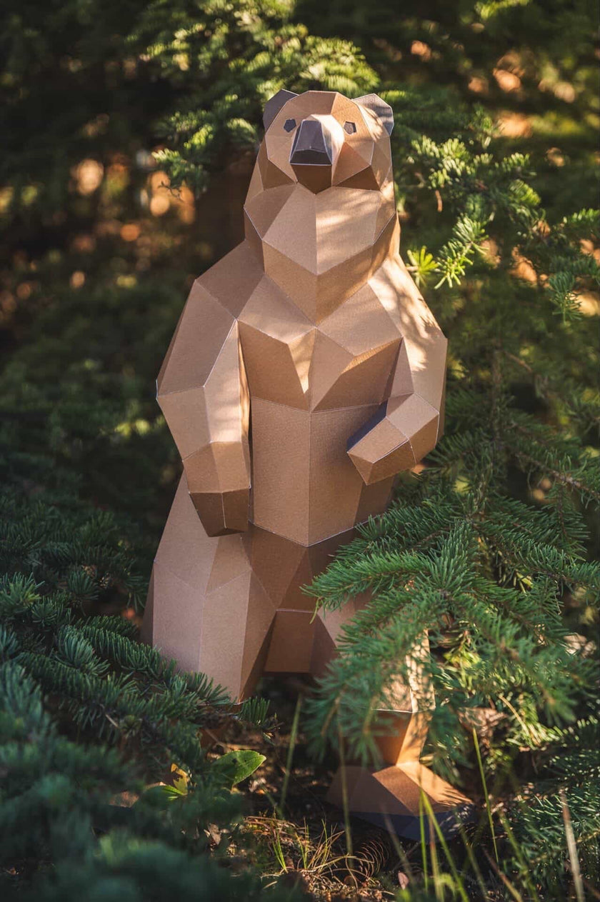 Grizzly Bear
