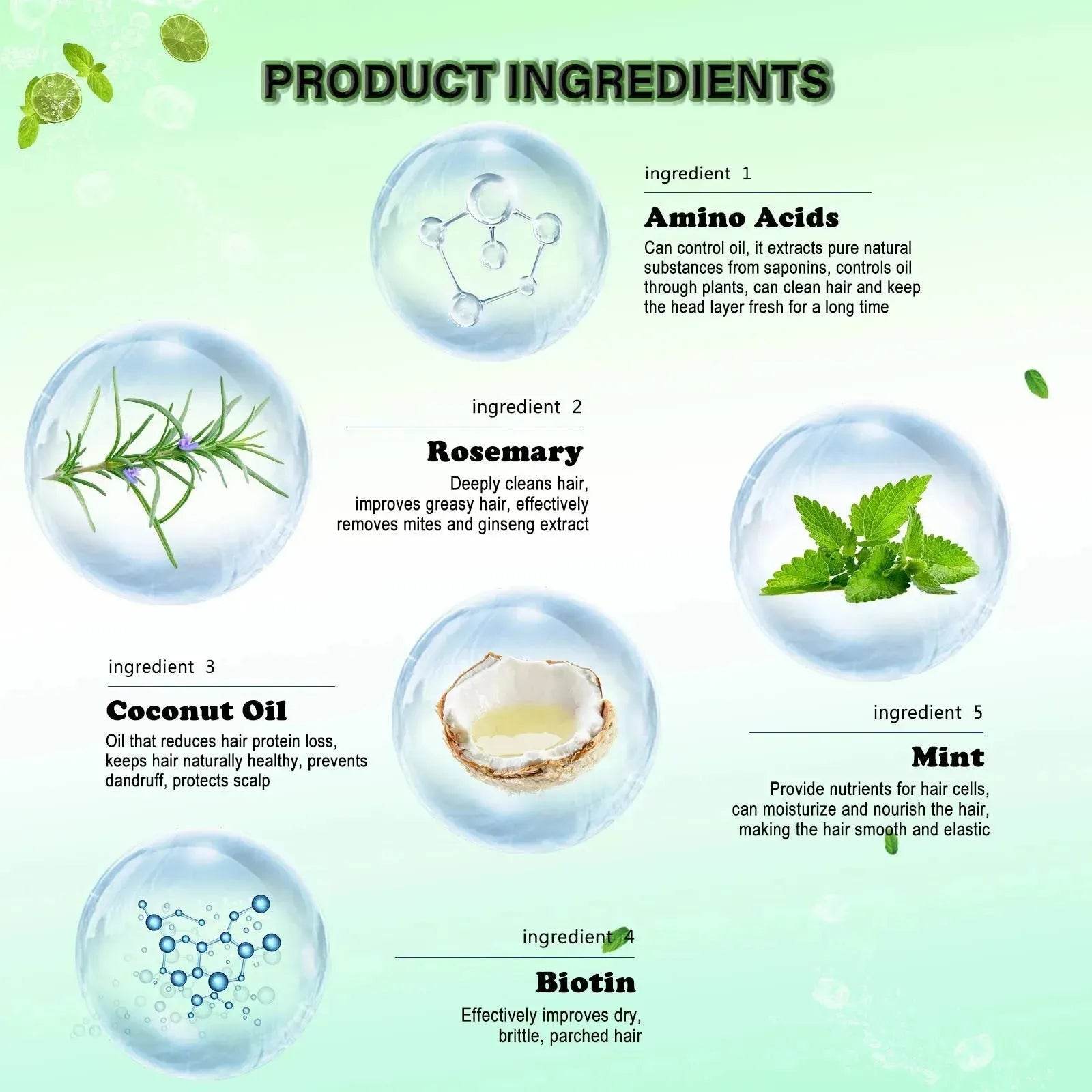 Rosemary Mint Shampoo for Hair Growth – Biotin Infused Anti Hair Loss Shampoo with Coconut Oil & Amino Acids