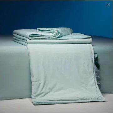 Four Seasons Winter Quilt Duvet Insert Double Layer