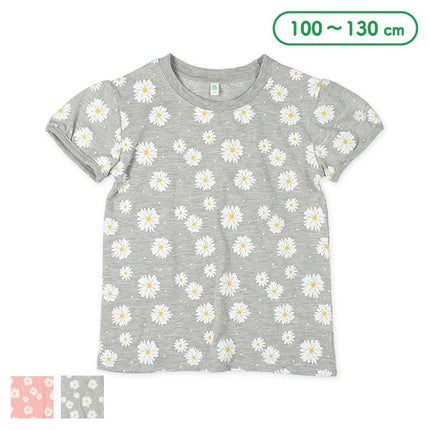 [Genuine Nishimatsuya product] MD Margaret Sow Garahan T3