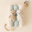 Baby honey bear | Cuddle + Kind