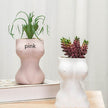 Flower Pots Decorative Ornaments Ceramic Crafts flower vase