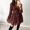 Spring Summer V-neck Long sleeve Floral Mini dress