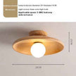 Aisle Ceiling Lamp Solid Wood Modern Minimalist Lamps
