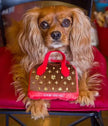 Dog Toy Purse | Chewy Pawtton Play Purse
