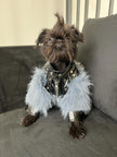 Jupiter Star Dog Jacket | Faux Leather Dog Coat with Fur Trim