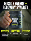 NutraBio Creatine + HMB